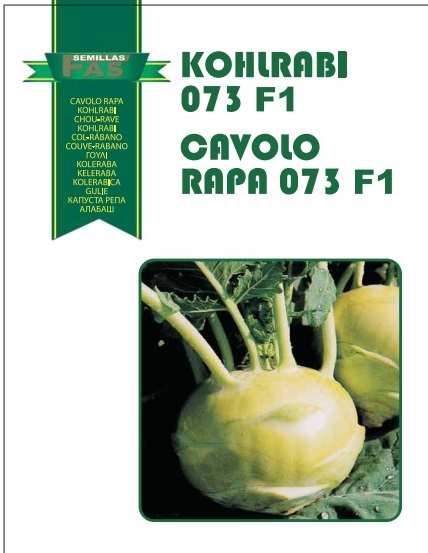 CAVOLO RAPA 073 F.1 HYBRD. 10.000 SEMI